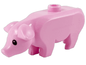 Dieren - Land