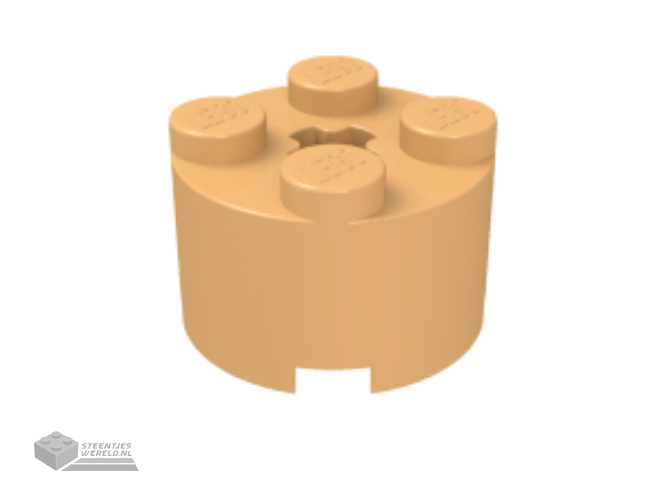 73230 – Technic, Steen 1 x 1 met asgat