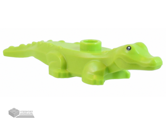 78532pb02 – Alligator/krokodil babykuiken bedrukt