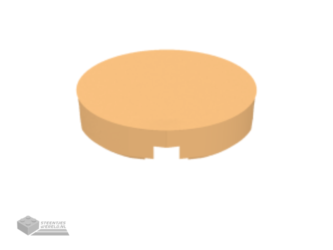 25269 – Tegel, rond 1 x 1 kwart
