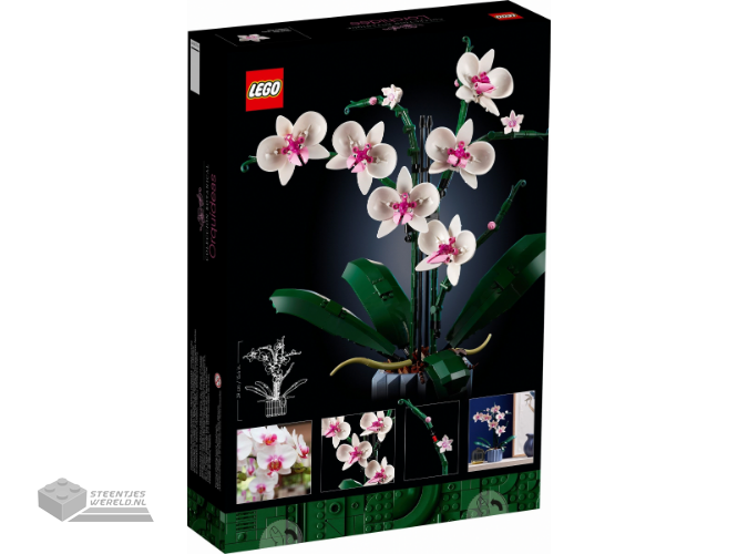 LEGO Botanicals 10311 Orchidee - Orchid - Afbeelding 5