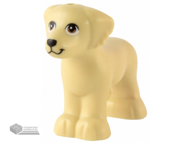 18822 – Minifiguur, Hoofddeksel Tulband zonder gat