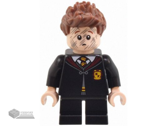 hp493 – Professor Severus Snape – Donkerzilveren Vest