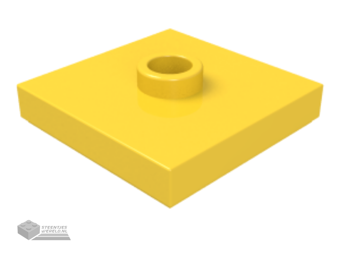 4032 – Plaat, rond 2 x 2 met asgat