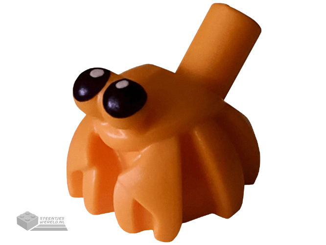 69945pb01 – Heremietkrab, streep op de rug met zwarte ogenpatroon