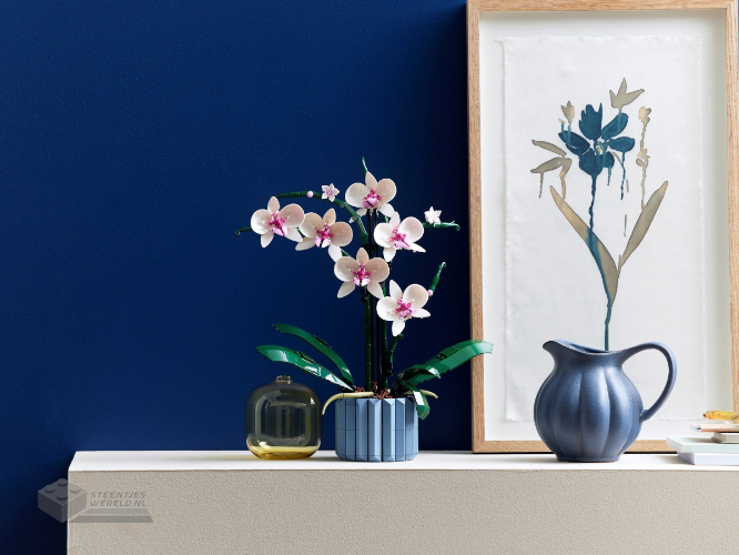 LEGO Botanicals 10311 Orchidee - Orchid - Afbeelding 7