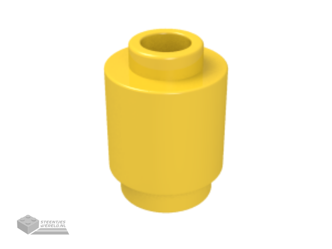 4032 – Plaat, rond 2 x 2 met asgat