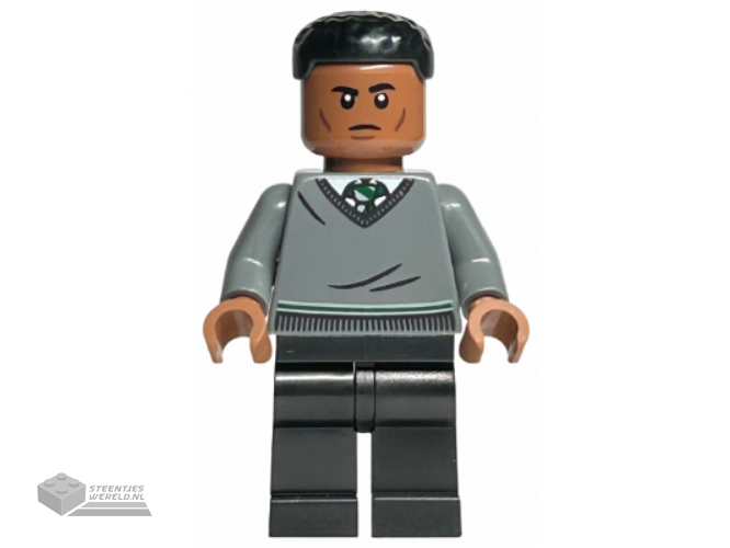 hp493 – Professor Severus Snape – Donkerzilveren Vest