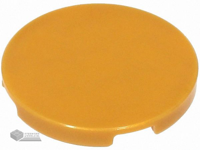 15395 – Steen, rond 2 x 2 koepelbodem