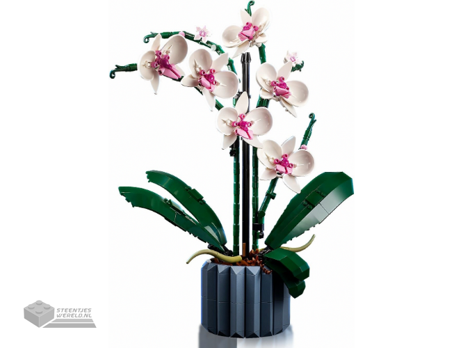 LEGO Botanicals 10311 Orchidee - Orchid - Afbeelding 2