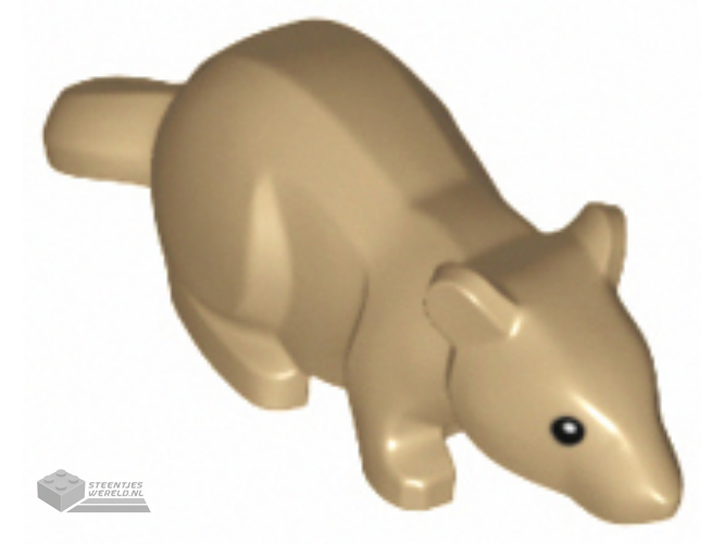 36756pb01 – Rat/muis met zwarte ogen en witte pupillen patroon