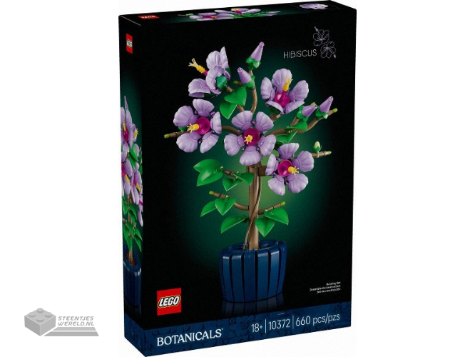 10372-1 – Hibiscus