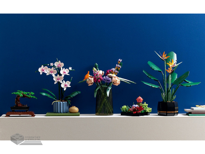 LEGO Botanicals 10311 Orchidee - Orchid - Afbeelding 8