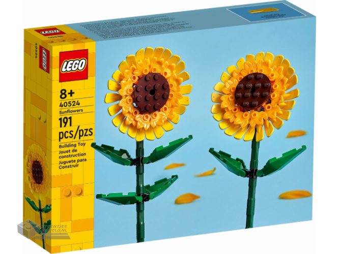 LEGO Duplo 10412 Dierentrein