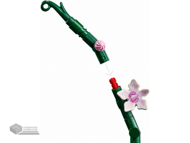 LEGO Botanicals 10311 Orchidee - Orchid - Afbeelding 4