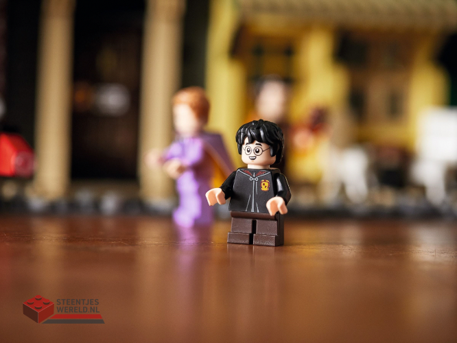 LEGO Harry Potter 75978 De Wegisweg - Diagon Alley - Afbeelding 32