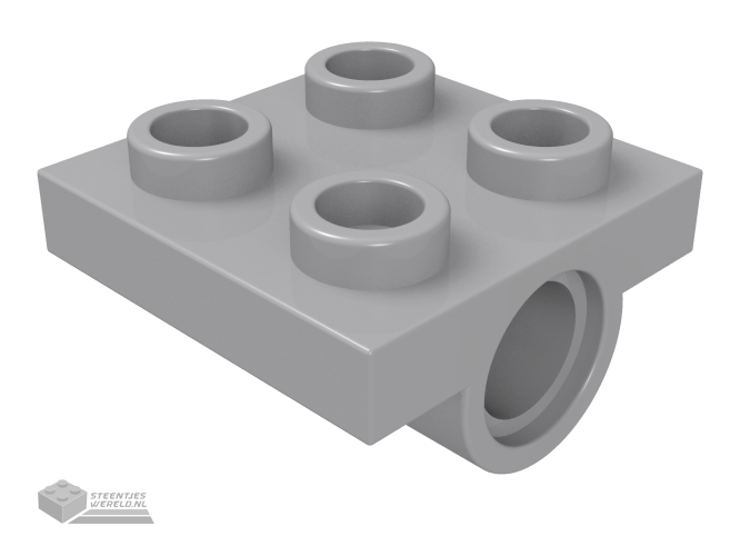 2817 – Plaat, aangepast 2 x 2 met pin gaten