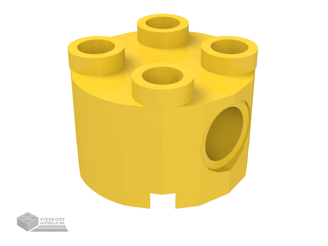 17485 – Steen, rond 2 x 2 met pin gaten