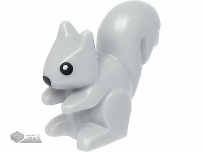 80679pb03 – Squirrel with Black Nose and Eyes with White Pupils Pattern